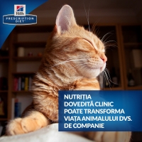 Hill's PD Feline c/d Multicare - Prevenirea Recurentei Struvitilor, 85 g